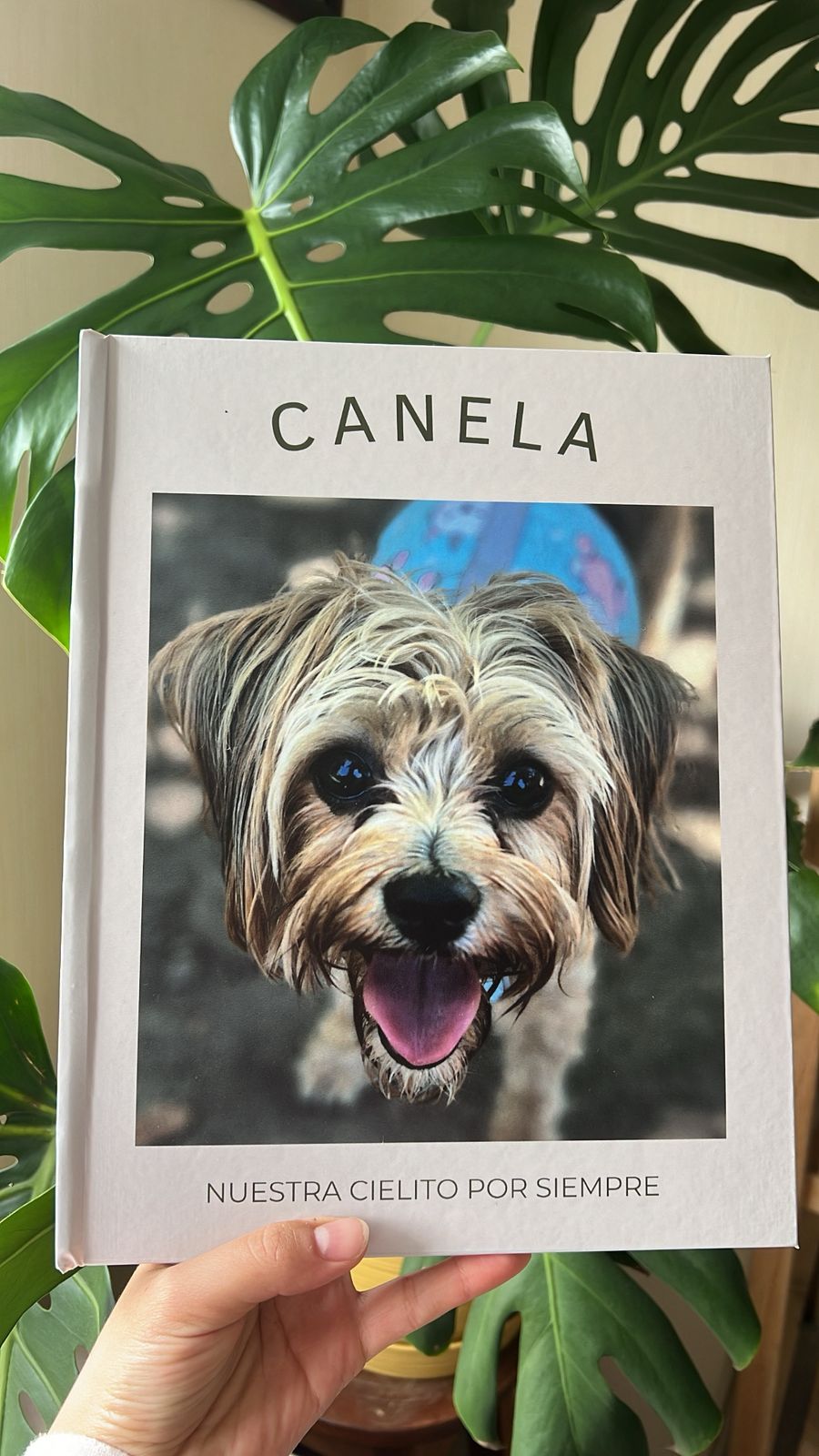 Fotolibro de mascota Canela