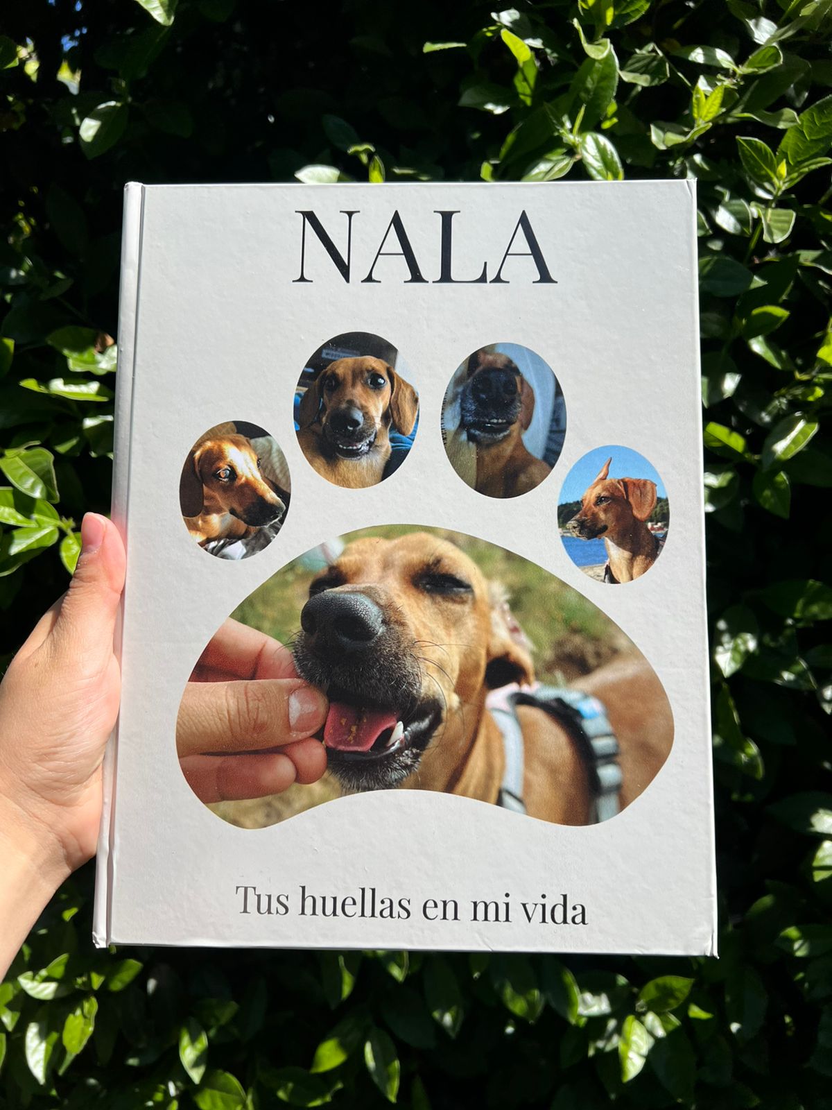 Fotolibro Nala — Tus huellas en mi vida